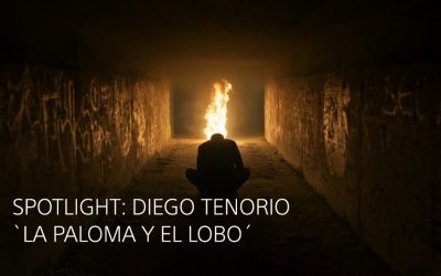Spotlight: Diego Tenorio