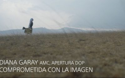 Diana garay Viñas AMC, Apertura